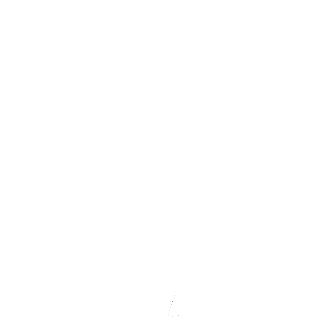Logo TFA Brazilian Jiu-Jitsu